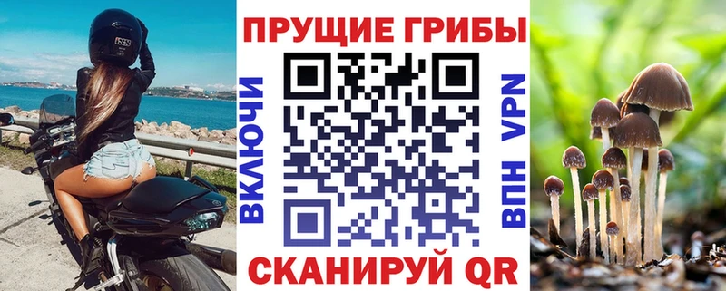 даркнет сайт  Мглин  omg как зайти  Псилоцибиновые грибы ЛСД 